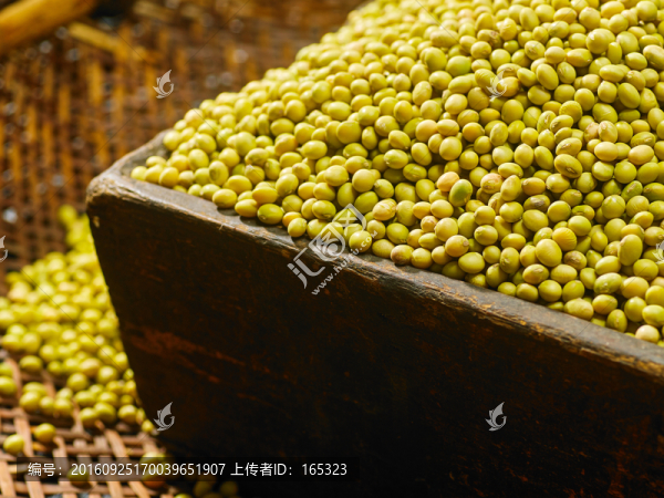 豆子
