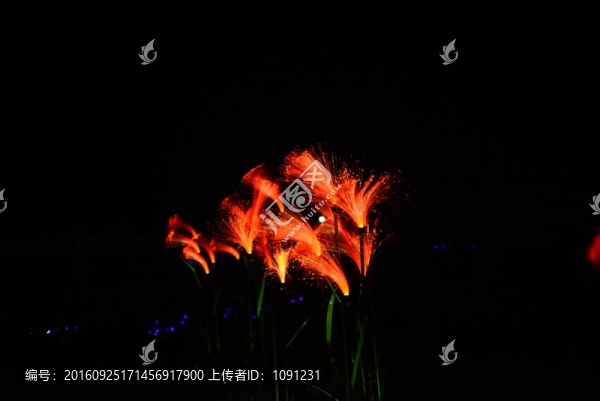 光影