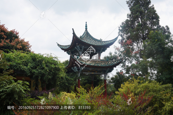 綠色中的涼亭