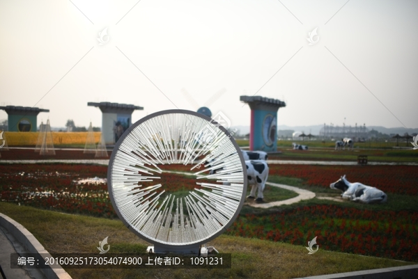 楓林花海