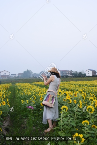賞花的人