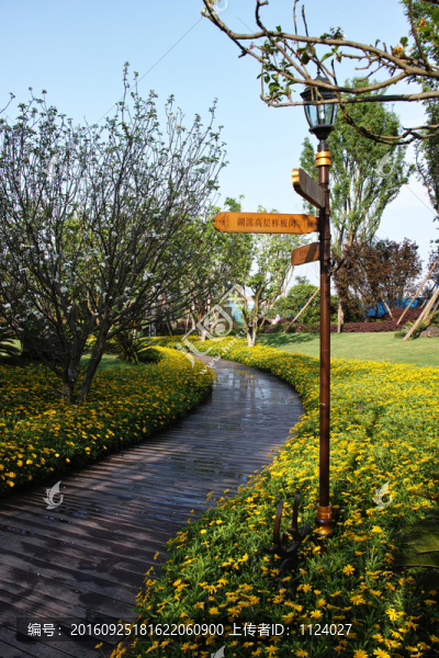 社區(qū)花園