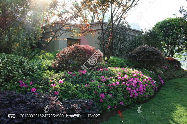 社區(qū)景觀