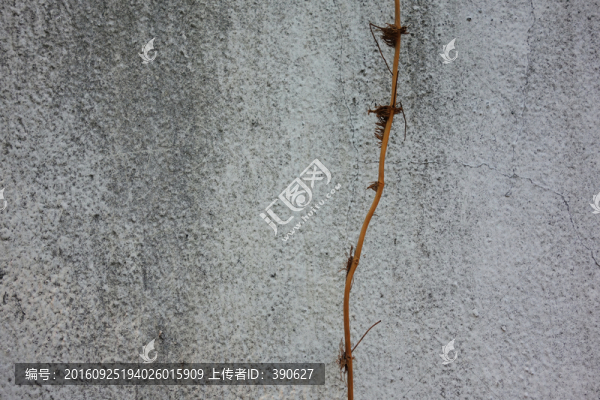 水泥墻