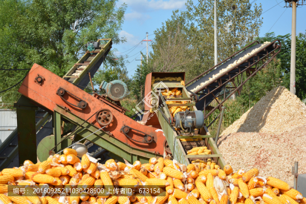 玉米脫粒機(jī)