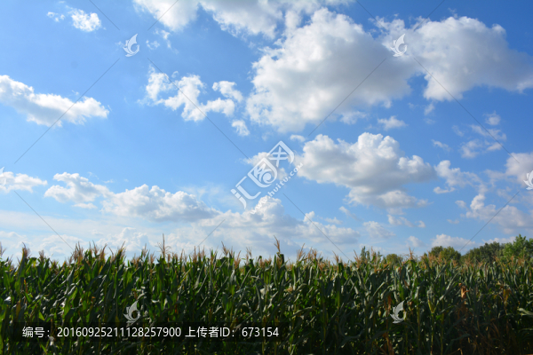 藍(lán)天白云