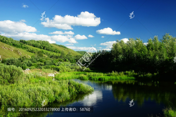 湖泊樹林
