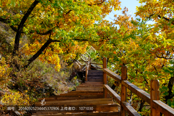 秋日棧道