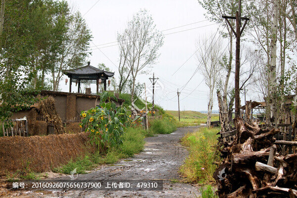 東北農(nóng)村,村頭