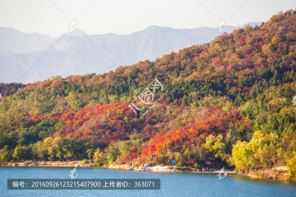 十三陵水庫秋景