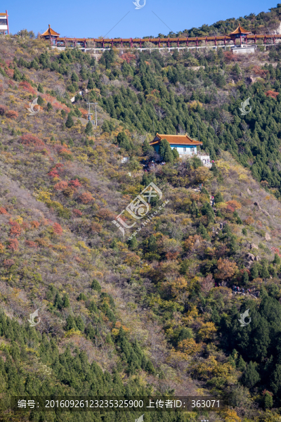北京蟒山森林公園秋景