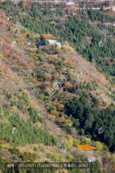 北京蟒山森林公園秋景