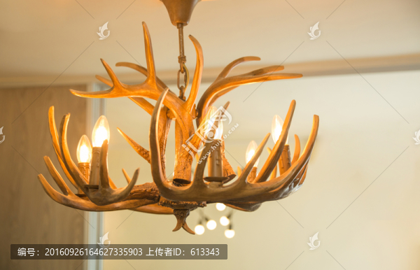 北歐風(fēng)樹杈燈