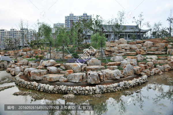 公園水池,假山,池塘