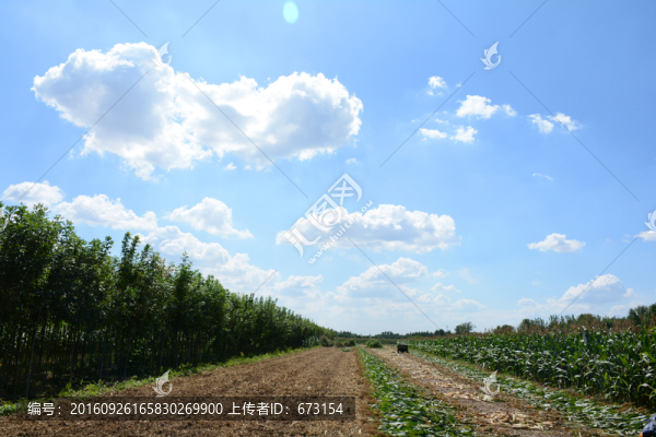 藍天白云