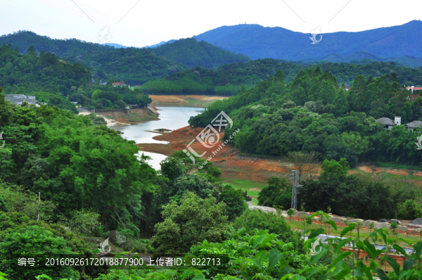 沼澤濕地