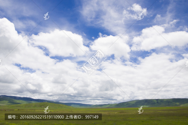 草原風(fēng)景