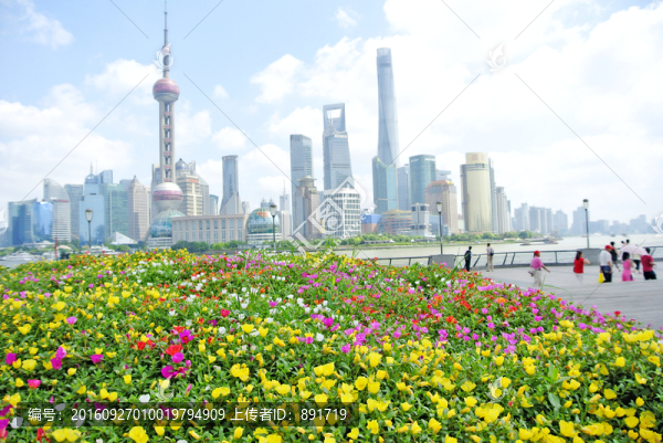 外灘,東方明珠,陸家嘴,鮮花