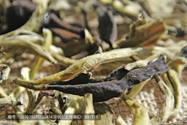 茶葉特寫,紅茶,白茶