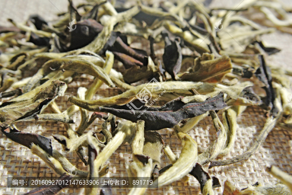 茶葉特寫,紅茶白茶