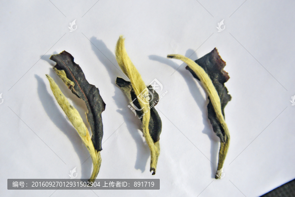 月光白茶,茶葉特寫,紅茶,白茶