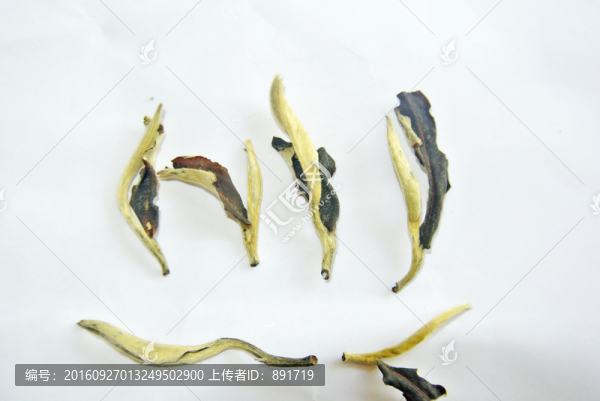 月光白茶,茶葉特寫,紅茶,白茶
