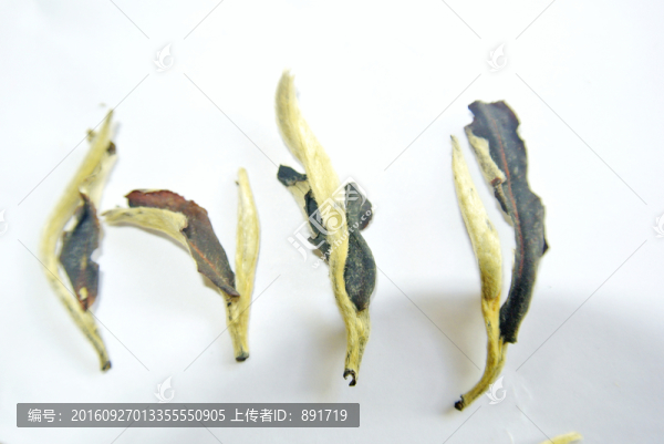 月光白茶,茶葉特寫,紅茶,白茶