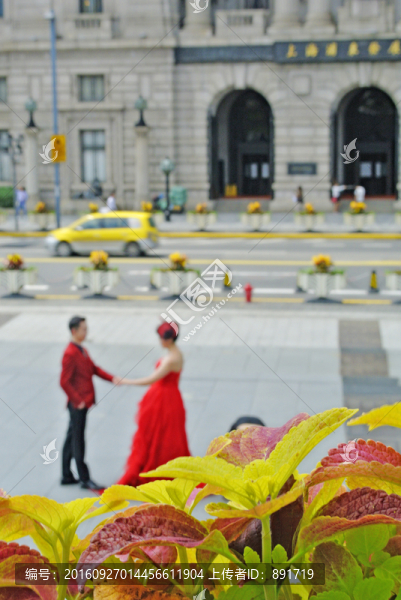 婚紗,新人,結(jié)婚,浪漫