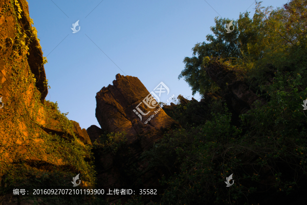 園林景觀