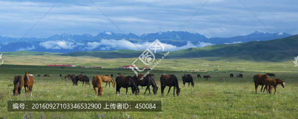 牧馬圖