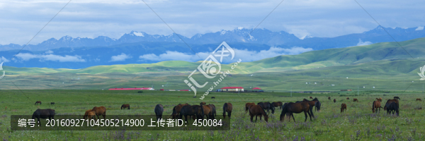 牧馬圖