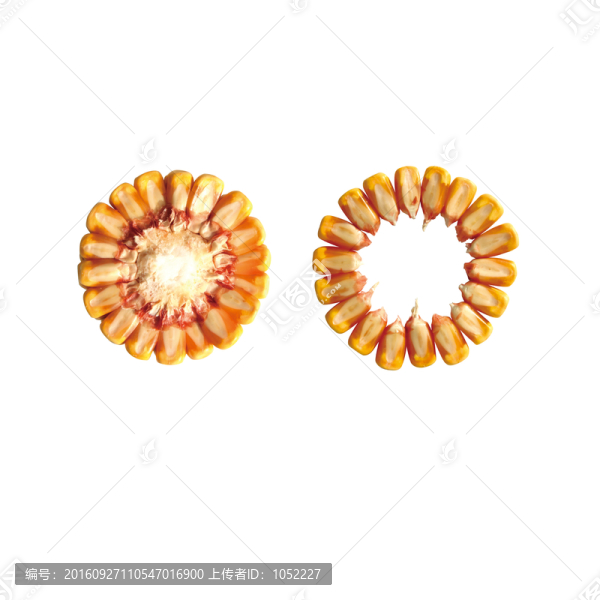 玉米