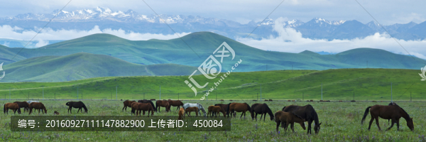 牧馬圖