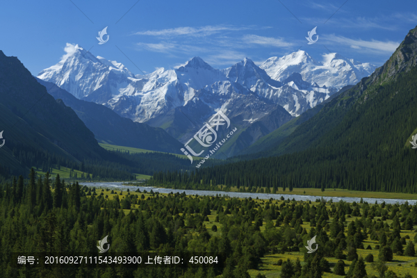 夏塔