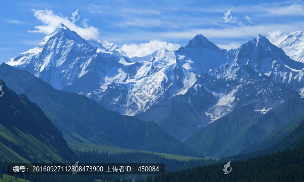 夏塔