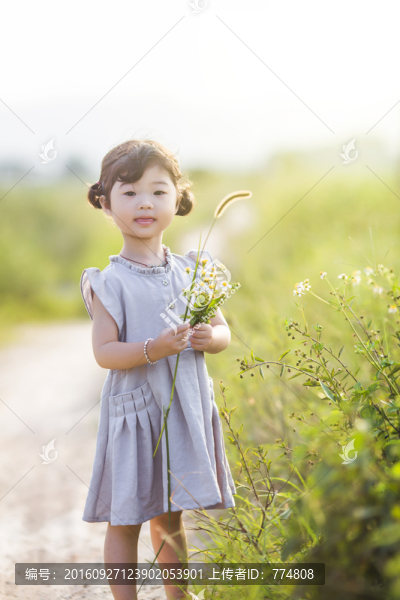 田園玩耍的女孩子