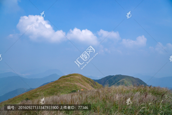山
