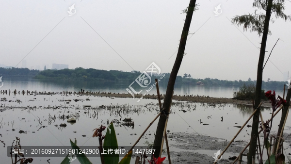 海珠濕地