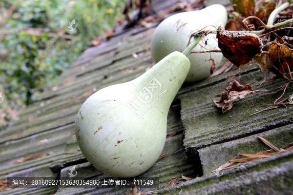 農(nóng)家房頂大葫蘆