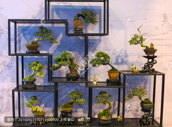 盆景展,盆景藝術(shù)