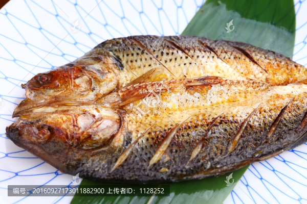鯪鯽魚