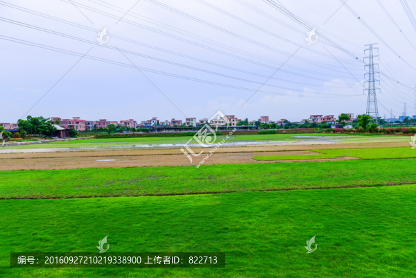 田園田野