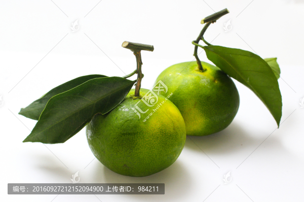 柑橘