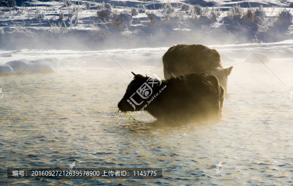 不凍河