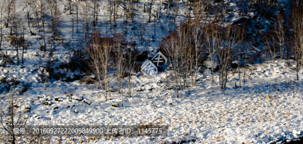 雪鄉(xiāng),村莊,雪,冬天,寒冷,林