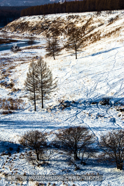 雪鄉(xiāng),村莊,雪,冬天,寒冷,林