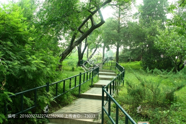 竹林小路