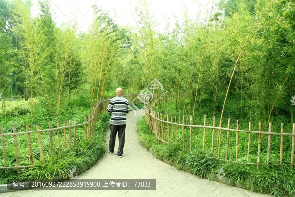 I竹林小路