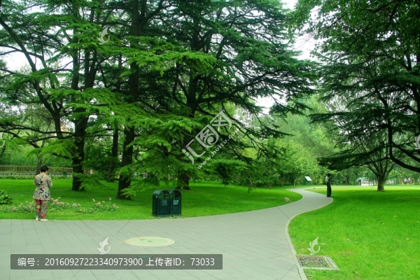 綠地小路