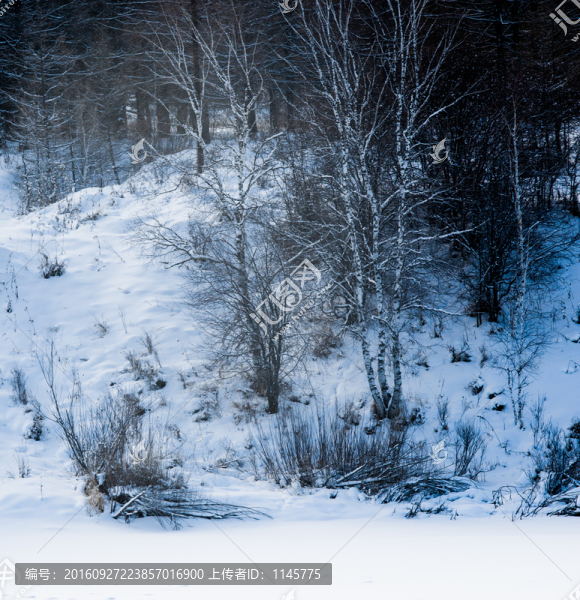雪鄉(xiāng),村莊,雪,冬天,寒冷,林